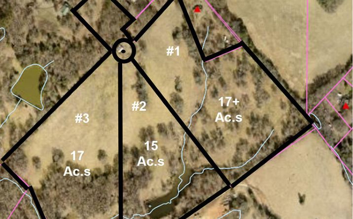 Pictures of Land property located at 3805 Hwy. 324 East 50+ acres, Rock Hill, SC 29730 for sales - image #1