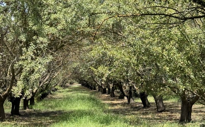 Pictures of Land property located at Yosemite Blvd. & Root Rd., Modesto, CA 95357 for sales - image #1