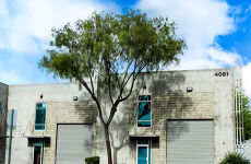 28891914