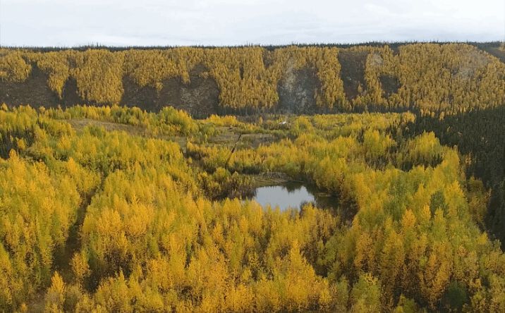 Pictures of Land property located at XXX No Name, Manly Hot Springs, AK 99767 for sales - image #1