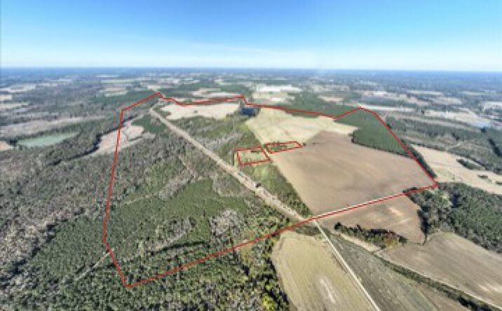 Pictures of Land property located at Dothan Road, Dillon, SC 29536 for sales - image #1