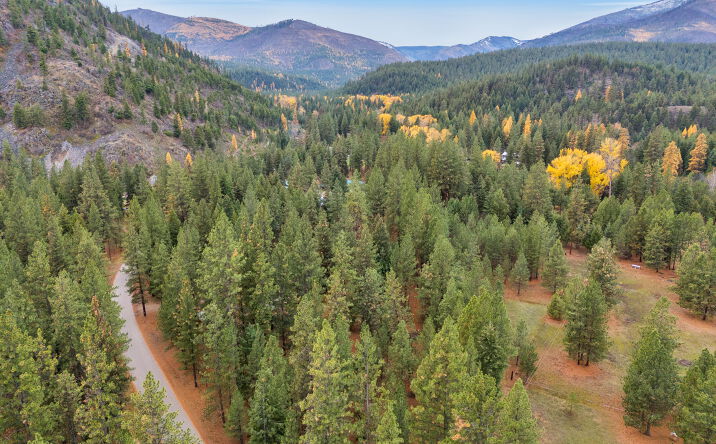 Pictures of Land property located at Nhn Swamp Creek Road, Plains, MT 59859 for sales - image #1