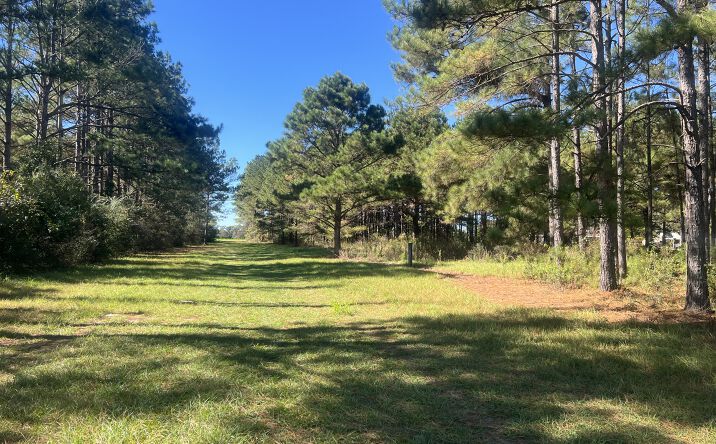 Pictures of Land property located at 4900 Block Hwy 97, Walnut Hill, Fl, Walnut Hill, FL 32568 for sales - image #1