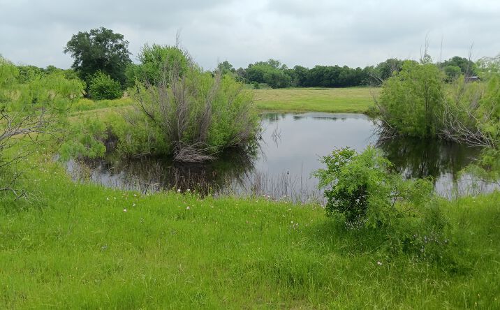 Pictures of Land property located at TBD Hwy  7, Chilton, TX 76632 for sales - image #1