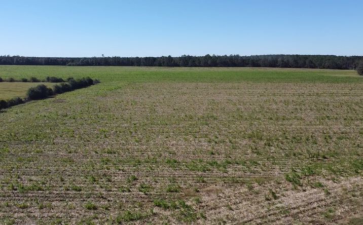 Pictures of Land property located at 5600 Block Florida 97,, Walnut Hill,, FL 32568 for sales - image #1