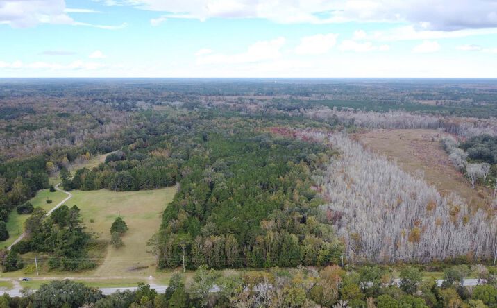 Pictures of Land property located at 1931 S Coastal Hwy, Riceboro, GA 31323 for sales - image #1