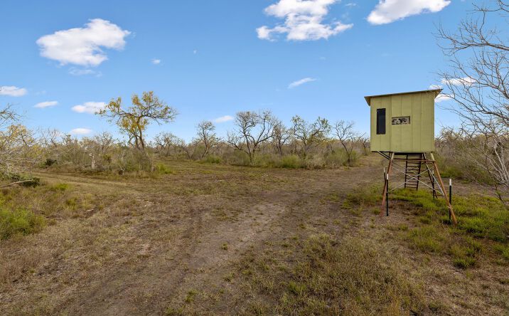 Pictures of Land property located at Campbellton Ranch, Campbellton, TX 78008 for sales - image #1