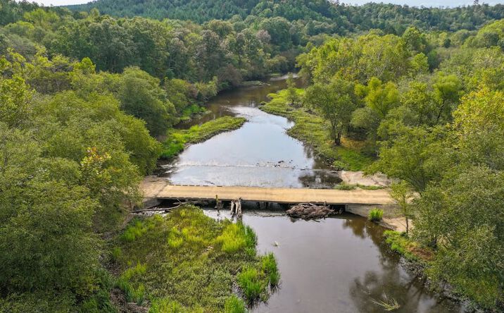 Pictures of Land property located at Rough Road, Gillham, AR 71841 for sales - image #1