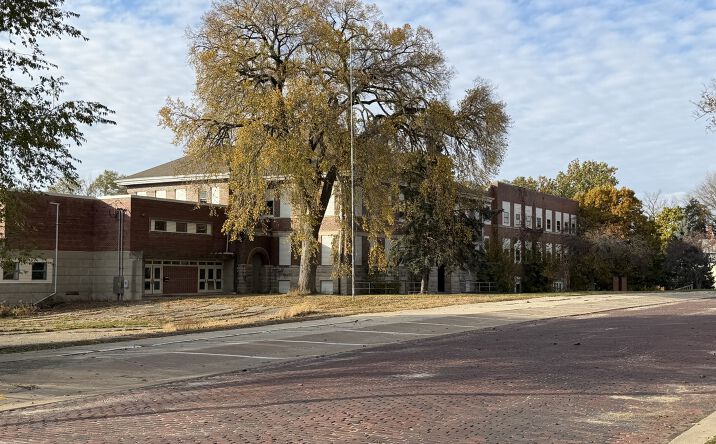 Pictures of Mixed Use property located at 300 S Main Street, Mt. Carroll, IL 61053 for sales - image #1