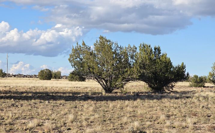 Pictures of Land property located at 293;294 Arizona Road, Ash Fork, AZ 86320 for sales - image #1