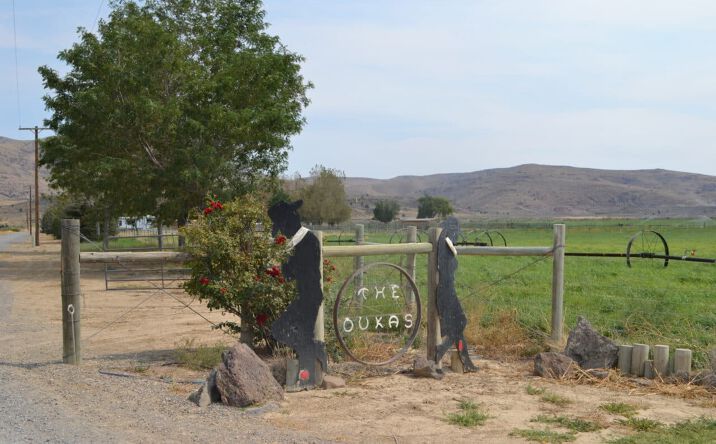 Pictures of Land property located at 480-100 Belfast Rd, Litchfield, CA 96117 for sales - image #1
