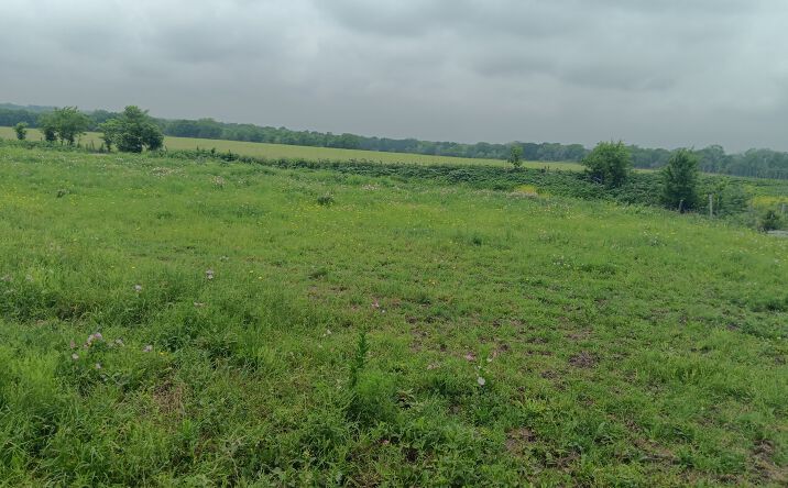 Pictures of Land property located at TBD CR 494 N, Chilton, TX 76632 for sales - image #1
