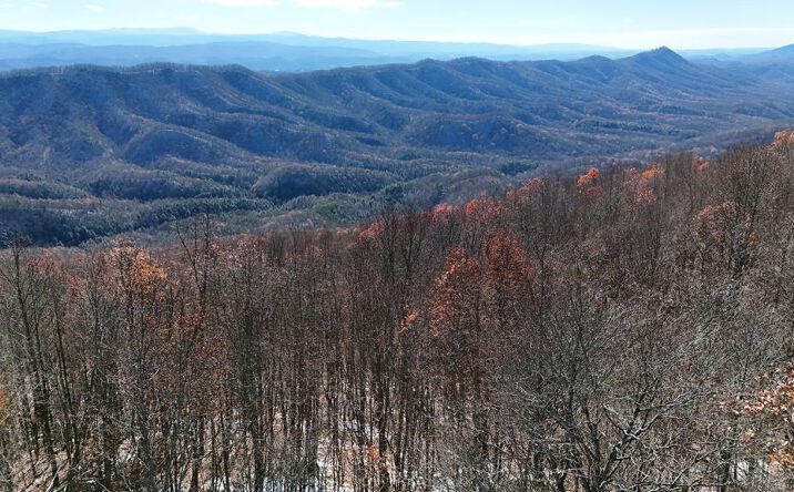 Pictures of Land property located at TBD Nebo Mountain Rd., Atkins, VA 24311 for sales - image #1