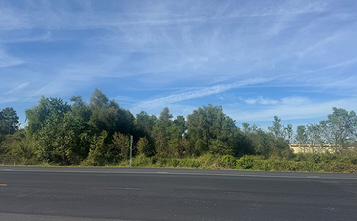 Pictures of Land property located at Tracts 21 & 22, W Airline Highway, Reserve, LA 70084 for sales - image #1