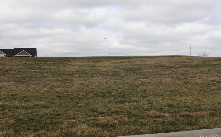 Pictures of Land property located at 11 Minnow Creek Subdivision, Hannibal, MO 63401 for sales - image #1