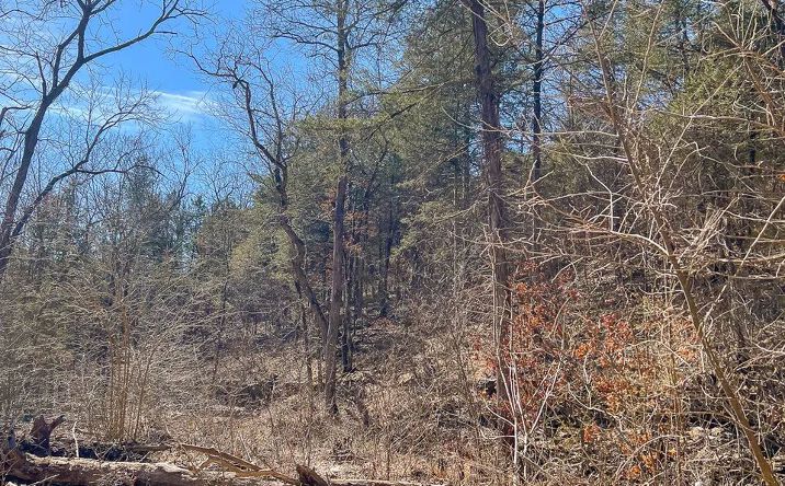 Pictures of Land property located at Spider Creek Rd, Garfield, AR 72732 for sales - image #1