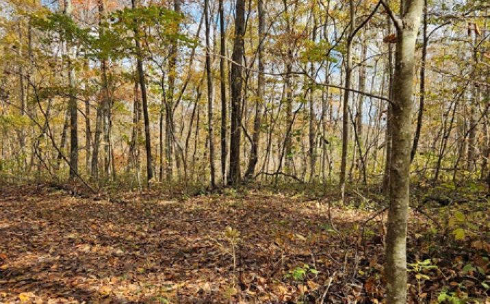 Pictures of Land property located at 320 Cravens Hollow Rd, Liberty, KY 42539 for sales - image #1