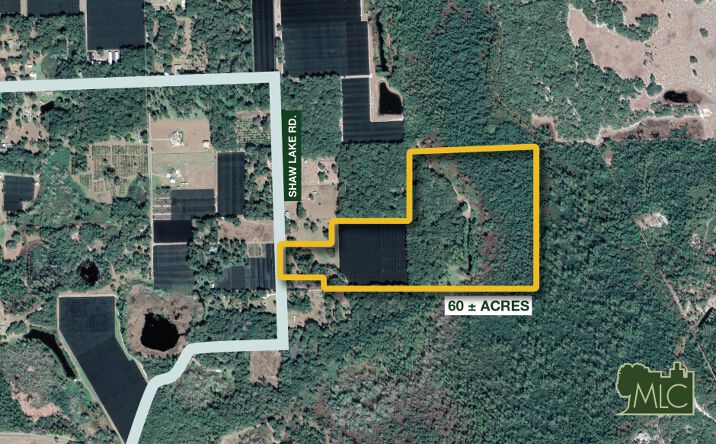 Pictures of Land property located at Shaw Lake Rd, Pierson, FL 32180 for sales - image #1