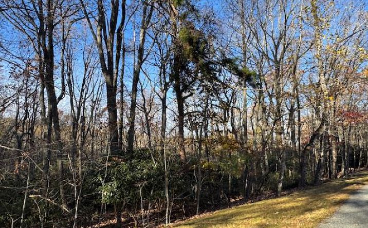 Pictures of Land property located at TBD Crooked White Oak Tr, Hillsville, VA 24343 for sales - image #1
