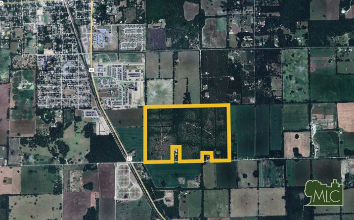 Pictures of Land property located at SW 30th Ave, Newberry, FL 32669 for sales - image #1