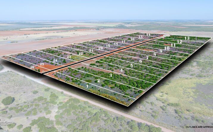 Pictures of Land property located at 9700 Co Rd 364, Anson, TX 79501 for sales - image #1