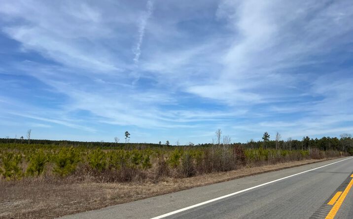 Pictures of Land property located at US-79, Pine Bluff, AR 71603 for sales - image #1