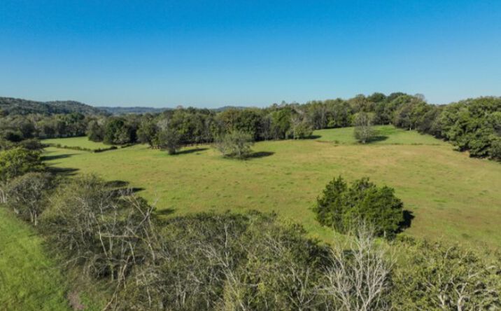 Pictures of Land property located at 0 Delina Boonshill Rd, Petersburg, TN 37144 for sales - image #1