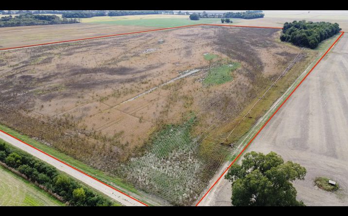 Pictures of Land property located at County Road 512, East Prairie, MO 63845 for sales - image #1