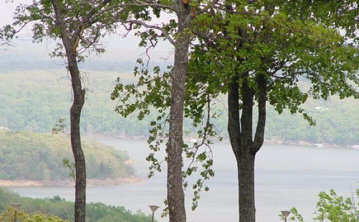 Pictures of Land property located at Kelsey Drive, Park Hill, OK 74451 for sales - image #1