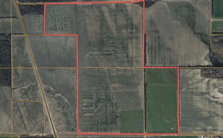 Pictures of Land property located at County Road 507, East Prairie, MO 63845 for sales - image #1