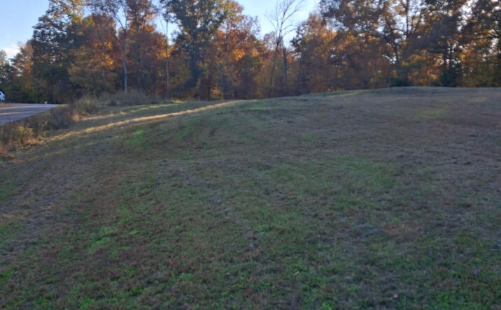 Pictures of Land property located at 555 Center Point Road S, Reagan, TN 38368 for sales - image #1