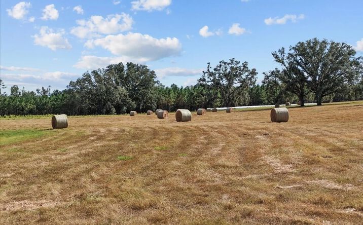 Pictures of Land property located at Vacant SW CR 360A, Madison, FL 32340 for sales - image #1