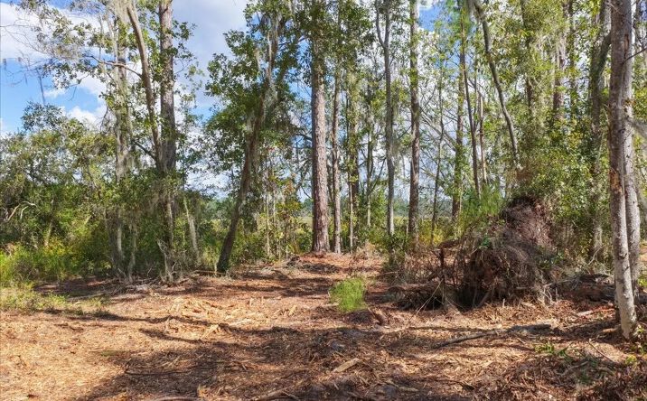 Pictures of Land property located at Vacant NW Little Cat Road, Madison, FL 32340 for sales - image #1