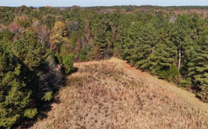 Pictures of Land property located at Saffold Road Tract, Morgan, GA 39866 for sales - image #1