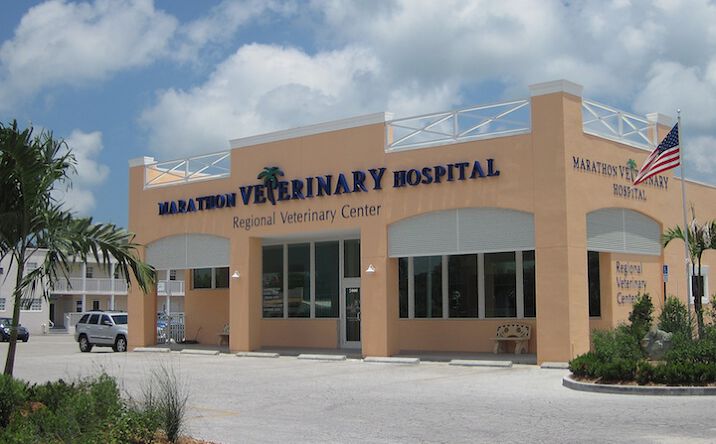Pictures of Office property located at 5001 Overseas Hwy, Marathon, FL 33050 for sales - image #1
