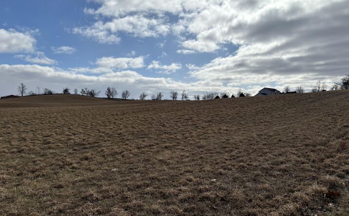 Pictures of Land property located at Wildlife Ridge, Manchester, MI 48158 for sales - image #1