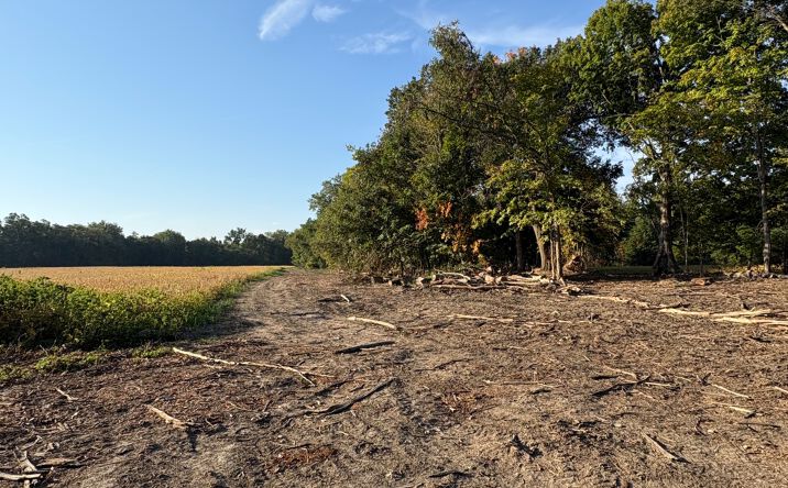 Pictures of Land property located at S Frye Hill Rd, Williamsport, IN 47993 for sales - image #1