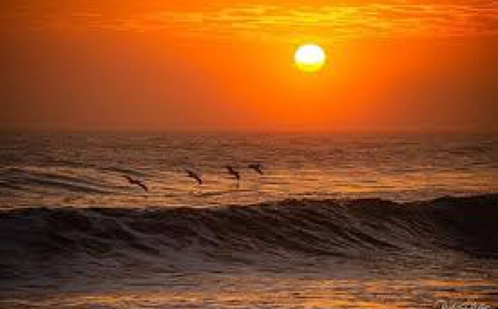 Pictures of Retail, Hospitality, Business for Sale property located at S Ocean Shore Blvd, Flagler Beach, FL 32136 for sales - image #1