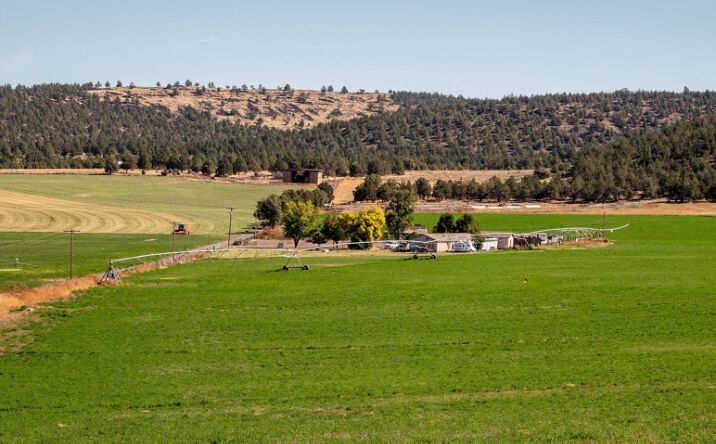 Pictures of Land property located at 2112 Dorris-Brownell Road, Dorris, CA 96023 for sales - image #1