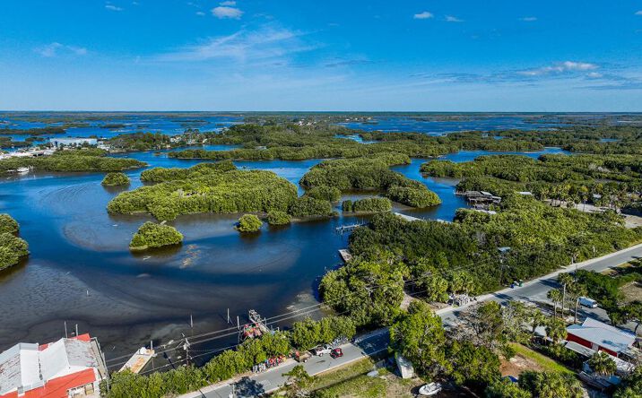 Pictures of Land property located at 12 Lots 3rd St, Cedar Key, FL 32625 for sales - image #1