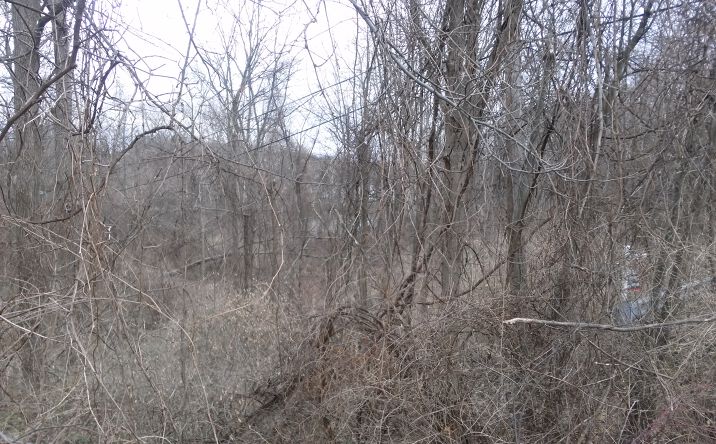 Pictures of Land property located at 3050 Outer Dr E, Detroit, MI 48234 for sales - image #1