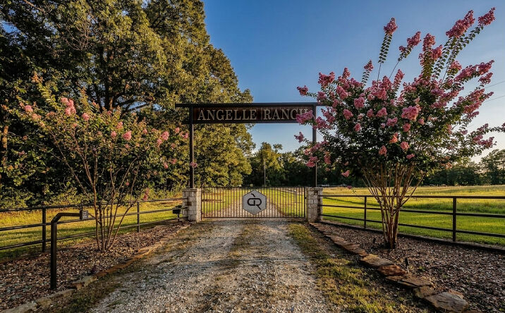 Pictures of Land property located at 485 FM 230, Trinity, TX 75862 for sales - image #1