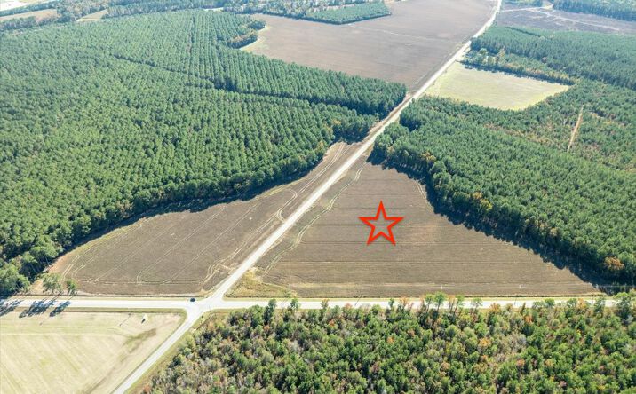 Pictures of Land property located at Highway 34 and Dothan Road, Dillon, SC 29536 for sales - image #1