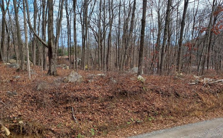 Pictures of Land property located at 4 Prout Lane, East Fishkill, NY 12582 for sales - image #1