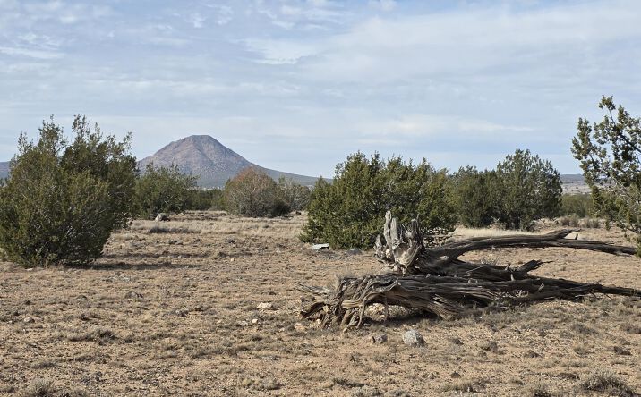 Pictures of Land property located at 245 Antelope Run Rd, Ash Fork, AZ 86320 for sales - image #1