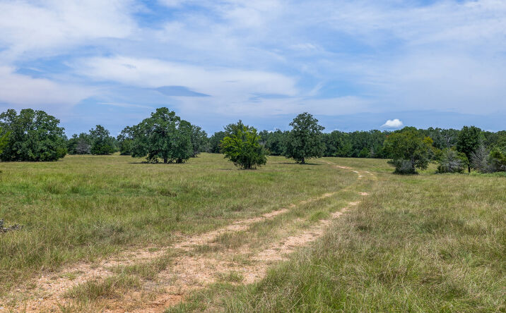 Pictures of Land property located at 17403 FM974, Bryan, TX 77808 for sales - image #1