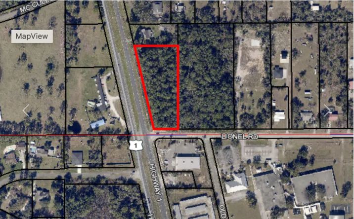 Pictures of Land property located at 3855 U.S. Rte 1, Mims, FL 32754 for sales - image #1
