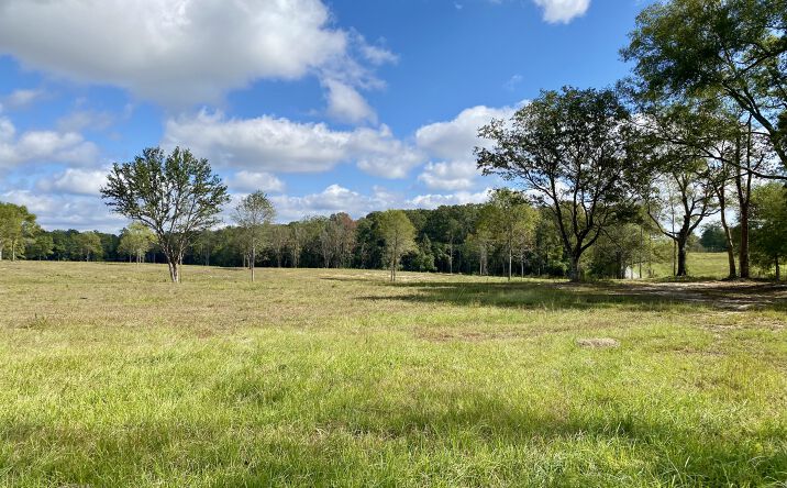 Pictures of Land property located at Carey Byrd Road, Lot 6, Carriere, MS 39426 for sales - image #1