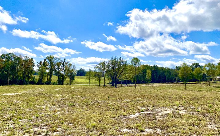 Pictures of Land property located at McNeil-Henleyfield Road, Lot 7, Carriere, MS 39426 for sales - image #1