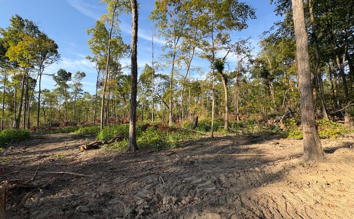 Pictures of Land property located at 24.87 +/- Acres Warren County Tract 2, Pine Village, IN 47975 for sales - image #1